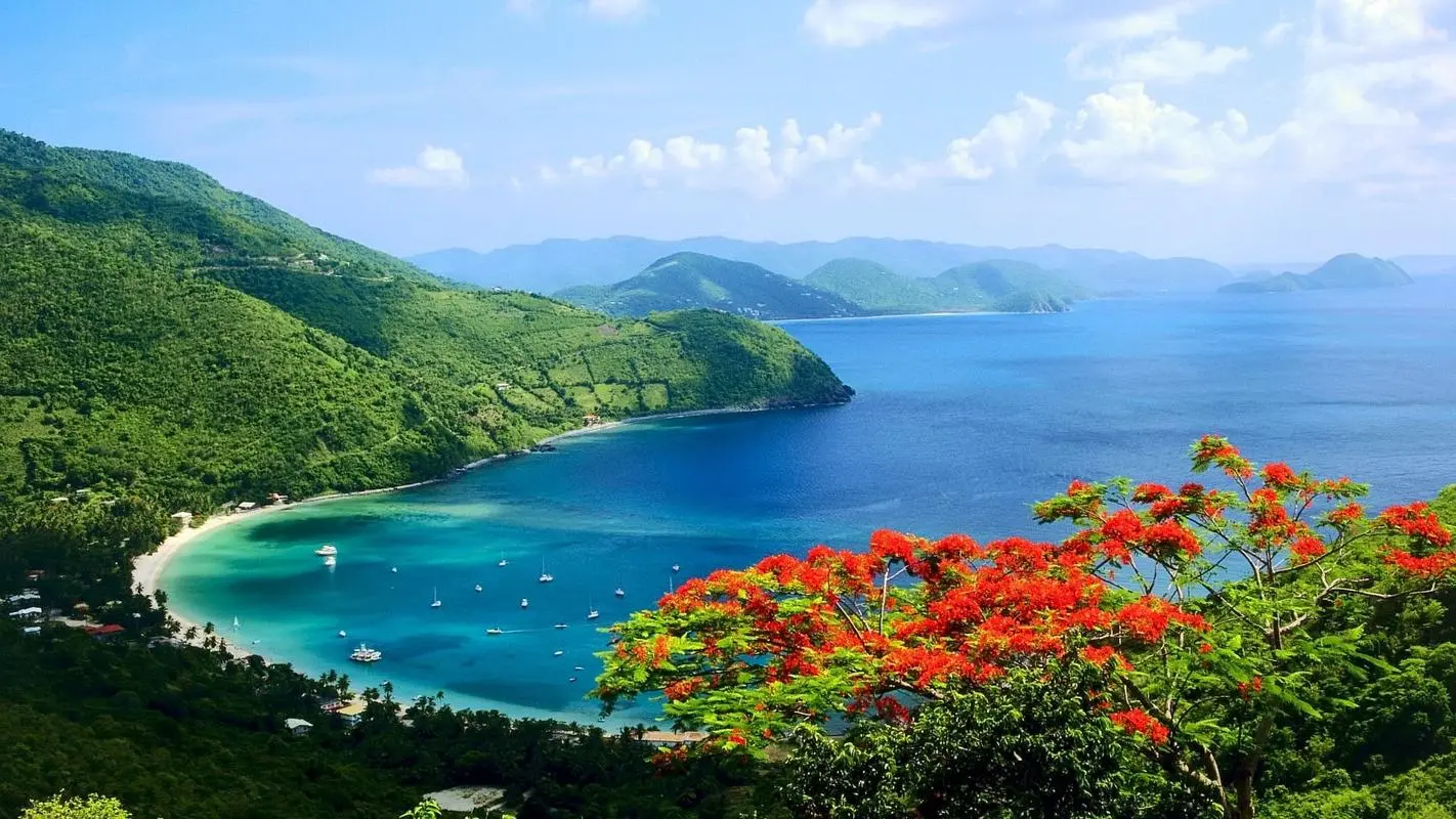 高效高端智能系统